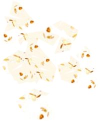 Layer 32 copy 5@2x